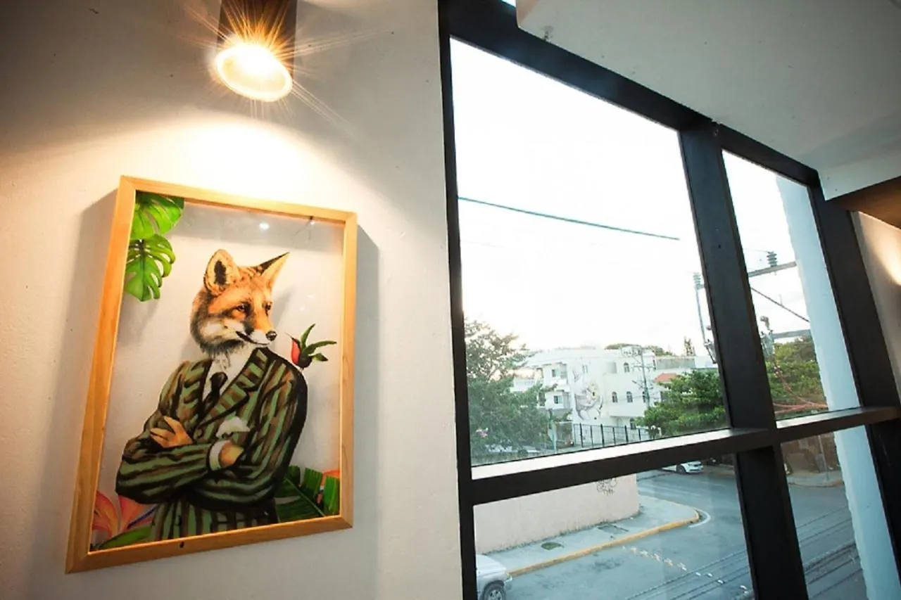 ***  Mow Midtown Hotel & Residences 신데 델 카르멘 멕시코